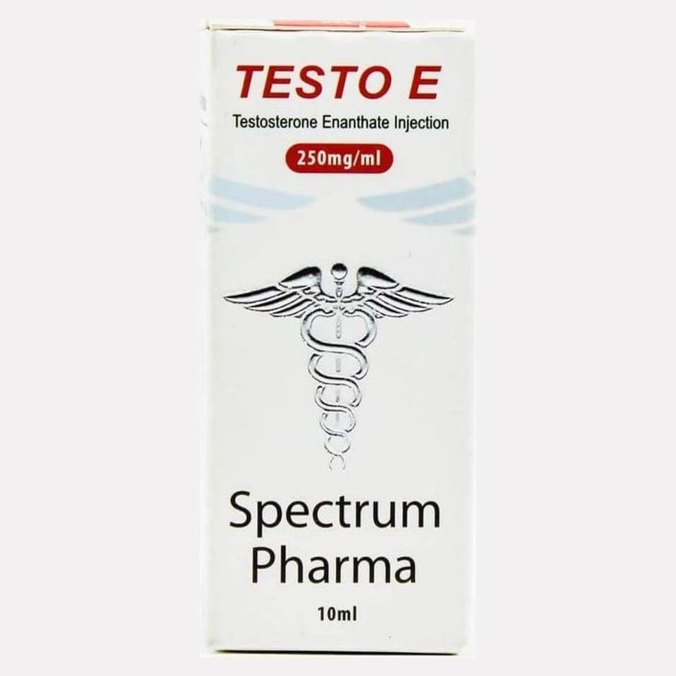 Testo E 250mg Spectrum Pharma | USA domestic